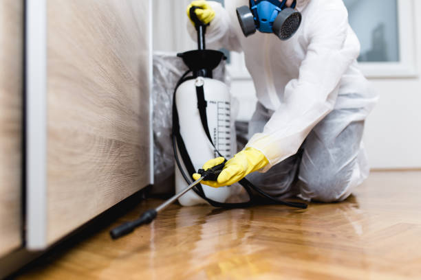 Best Wildlife Control Services  in Manton, MI