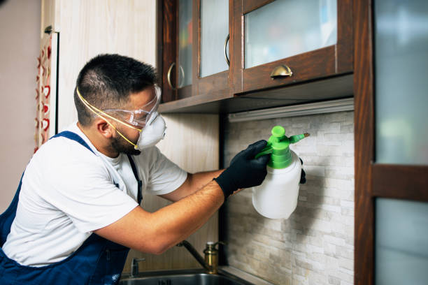 Best Pest Control Near Me  in Manton, MI