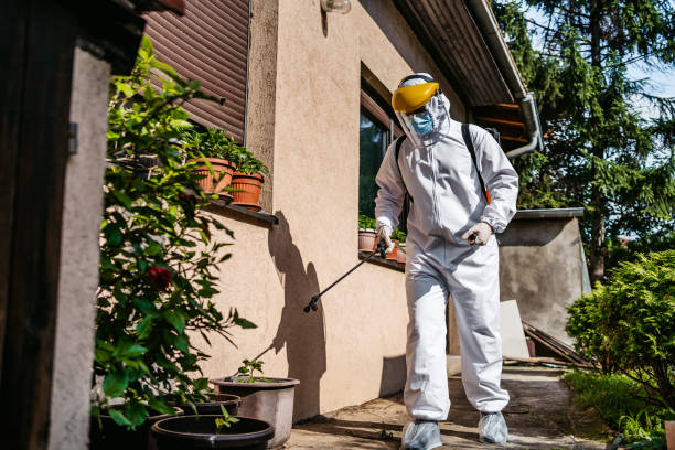 Best Rodent Control Near Me  in Manton, MI