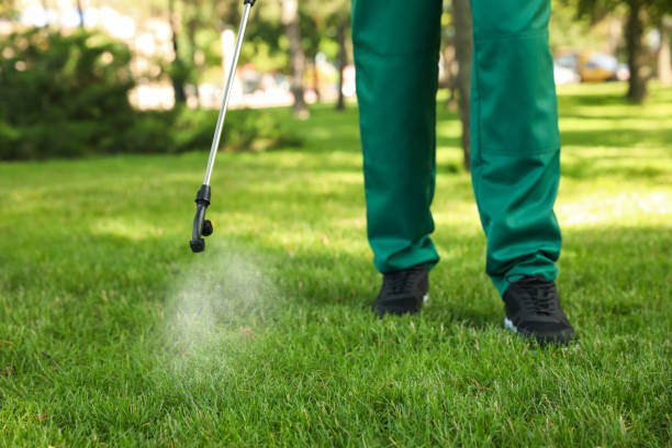 Best Flea Control Services  in Manton, MI