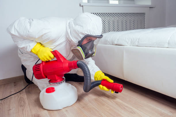 Professional Pest Control in Manton, MI