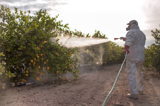 Best Exterminator Services  in Manton, MI