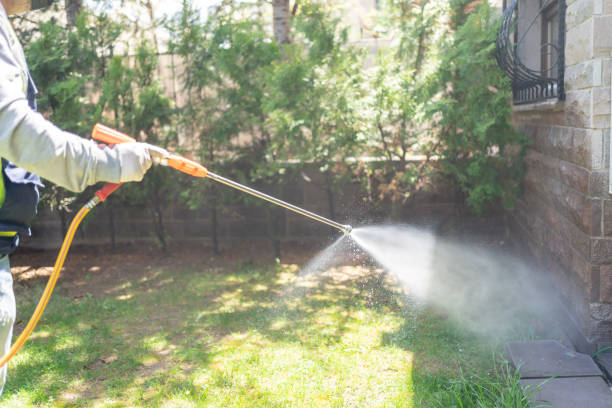 Best Pest Inspection Near Me  in Manton, MI