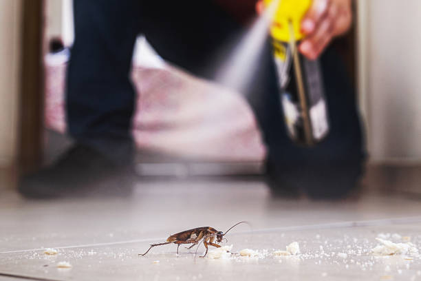 Best Affordable Pest Control Services  in Manton, MI