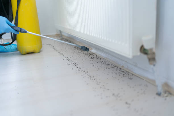 Best Emergency Pest Control  in Manton, MI