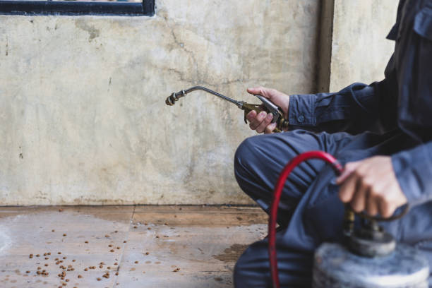 Best Best Pest Control Companies  in Manton, MI